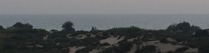 מכתב בבקבוק